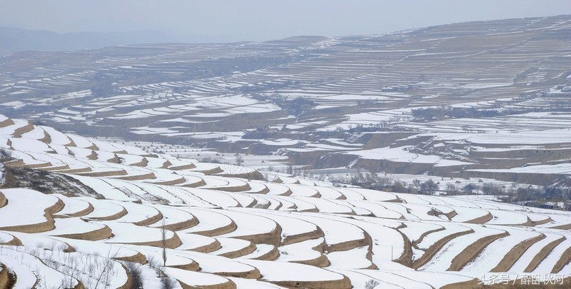 乱弹中川(散文)