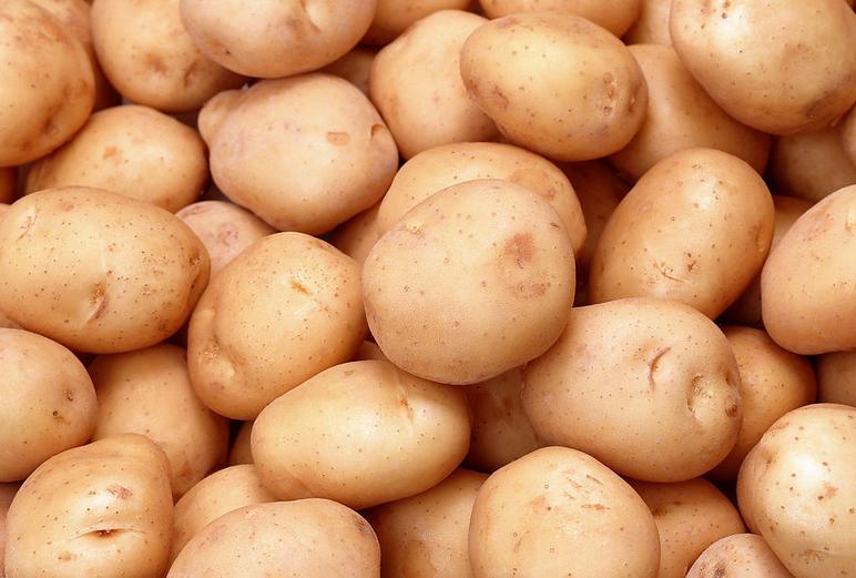 中国农业发展趋势及前景,中国农业行业前景