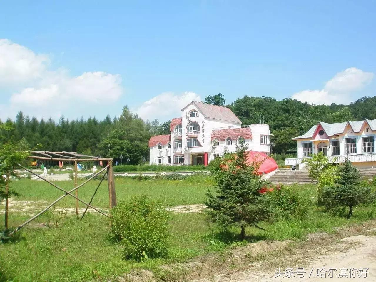 哈尔滨尚志要开挂了！如果三年后你还在尚志，将面对的竟是这些