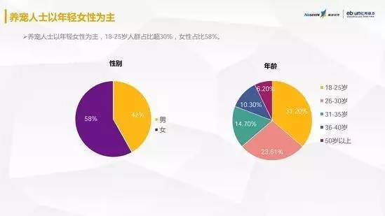 疯狂的小狗怎么成功的,疯狂的小狗最新消息
