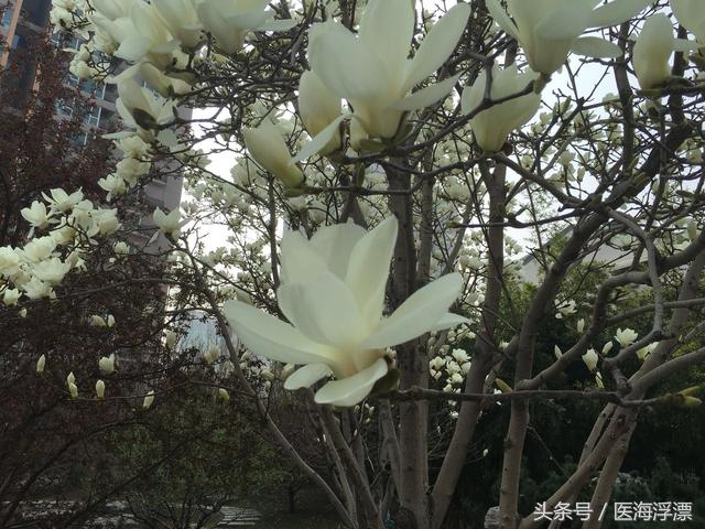 麻醉专业就业前景及出路,麻醉学专业的利与弊