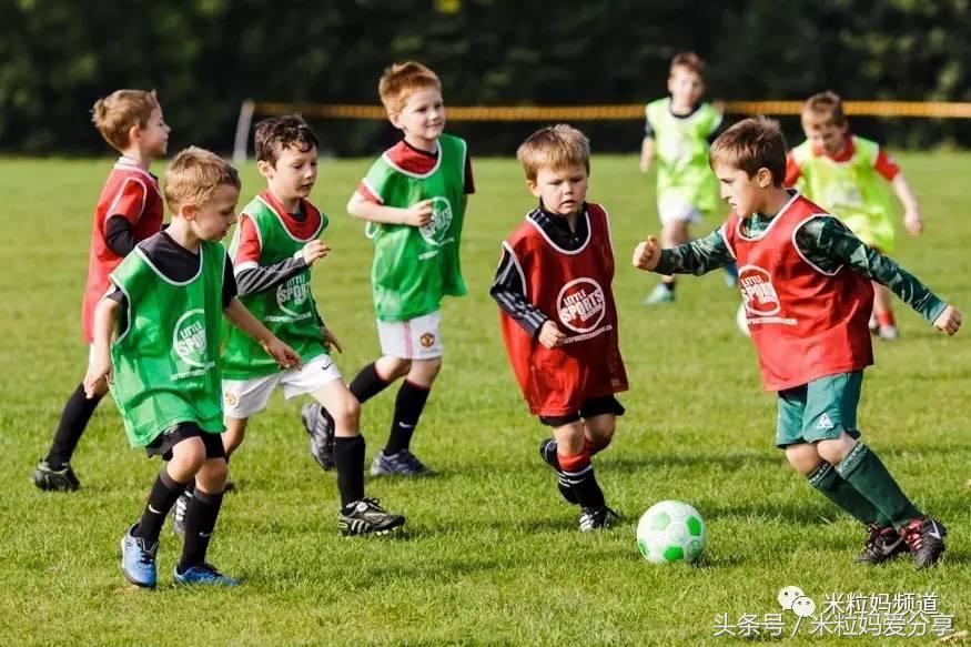 几岁开始报兴趣班最好,几岁学兴趣班