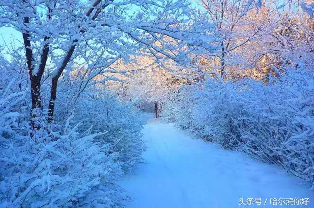 哈尔滨尚志未来5年规划,哈尔滨尚志最新规划