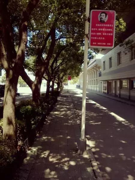 谢谢你高中征文,鲁迅中学初中