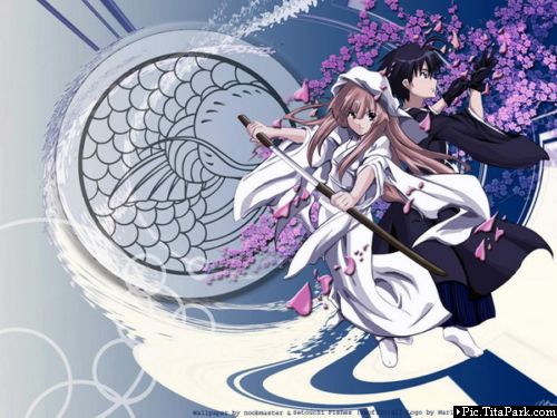 合集！30部热血+战斗+后宫的动画，有哪些值得你再追一遍？（附看片去处）