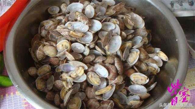 河北农家乐旅游攻略,紫塞农家院