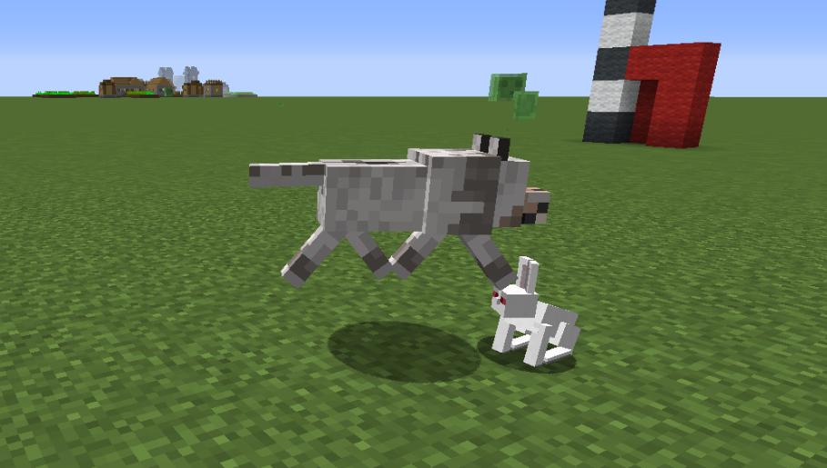 我的世界中的神秘代码,我的世界源代码