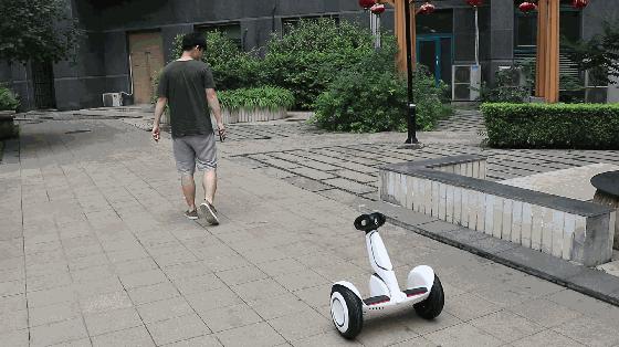 小米九号平衡车plus对比燃动版,小米九号平衡车和九号平衡车区别