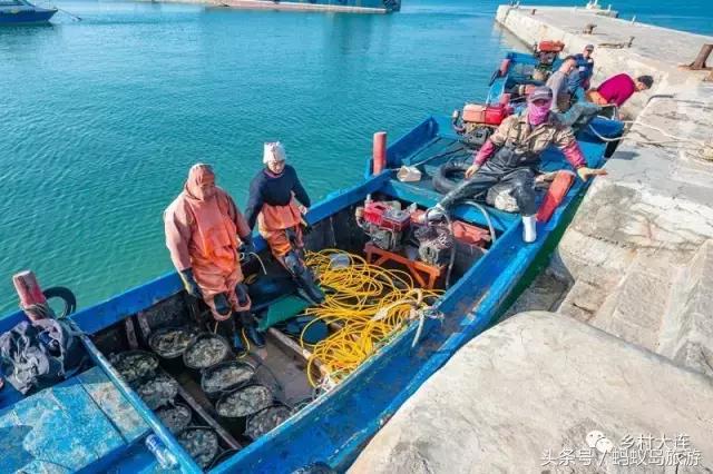 蚂蚁岛一日游,蚂蚁岛半日游