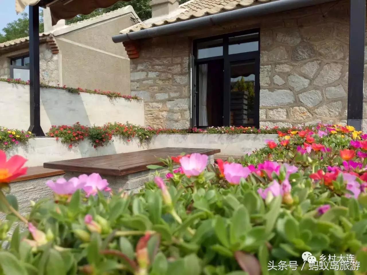 蚂蚁岛一日游,蚂蚁岛半日游