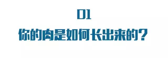 你的肉多半是吃出来的，想变瘦得这么吃