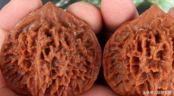 龙鳞纹狮子头和龙鳞纹官帽区别,金刚纹官帽狮子头