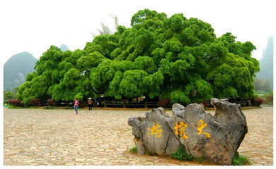 七八九月游玩地之桂林