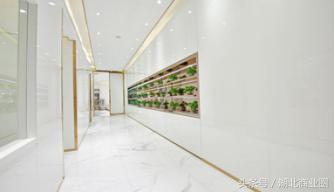 探店:在奢侈级口腔医院里做一把“上帝”