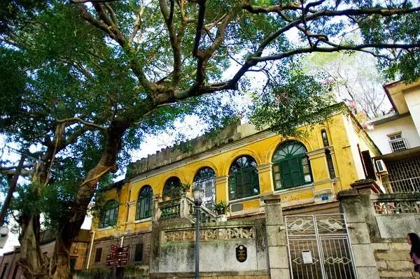 鼓浪屿三个小时游玩攻略,鼓浪屿坐船观光游玩攻略