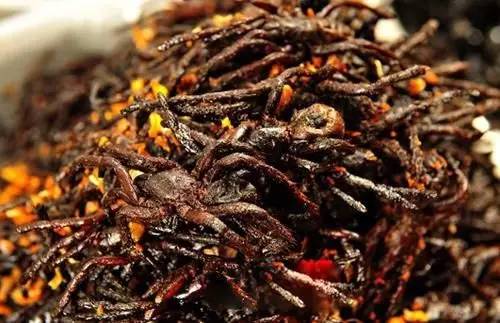 世界上10种奇葩食物你敢吃吗,全球十大奇葩美食