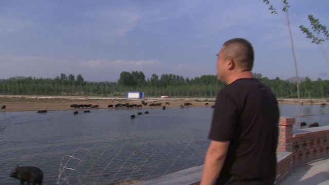 亿万房产后续,亿万房产商