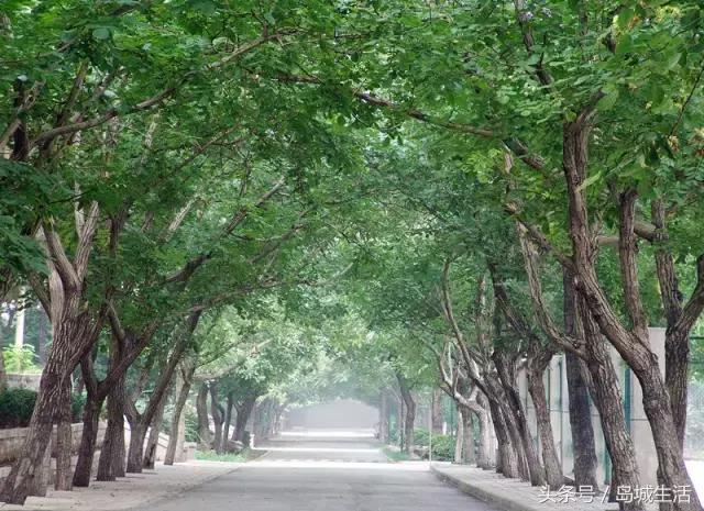 歪，别的小朋友都了解山师了，你要不要看一下呀？