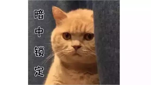 puma南坪店,puma新款广州店