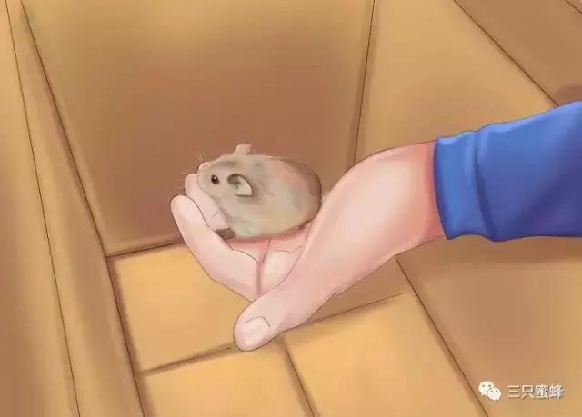 收下这份养发秘笈,收下这份避堵攻略