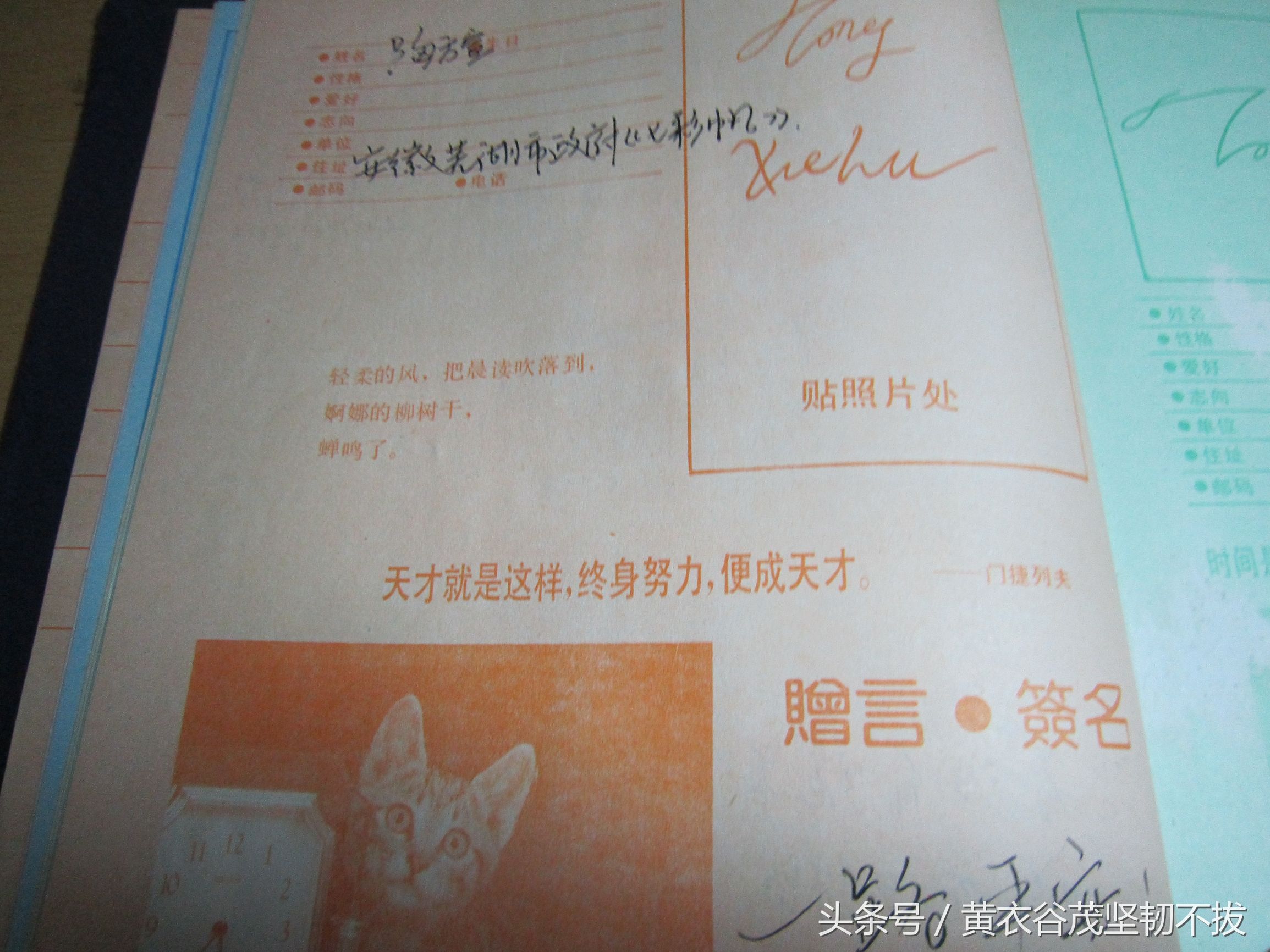 南大学问是无价之宝：风，吹不去；雨，冲不走；贼，偷不到