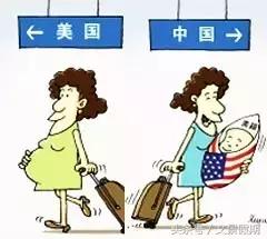 赴美生子合法吗,赴美生子方法