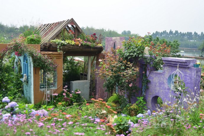 成都玛莉亚色彩花园,成都玛莉亚色彩花园电话