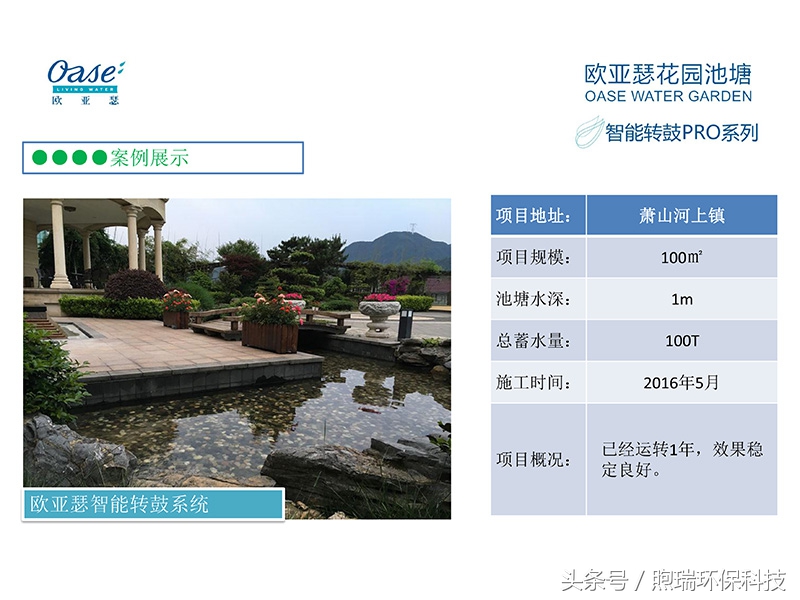 锦鲤鱼池生态循环过滤,锦鲤鱼池过滤系统视频