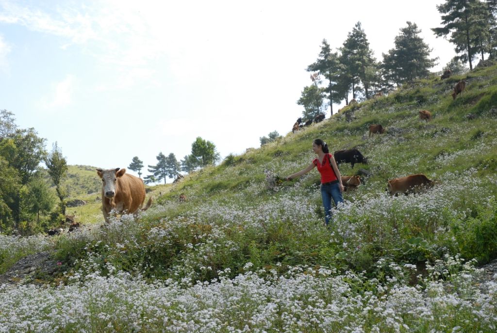 重庆各区必去的景点推荐,重庆的景点必游排名