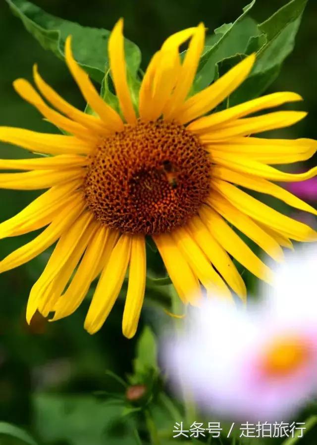 滁州有哪些地方可以下班去逛逛,滁州十大必去景点推荐