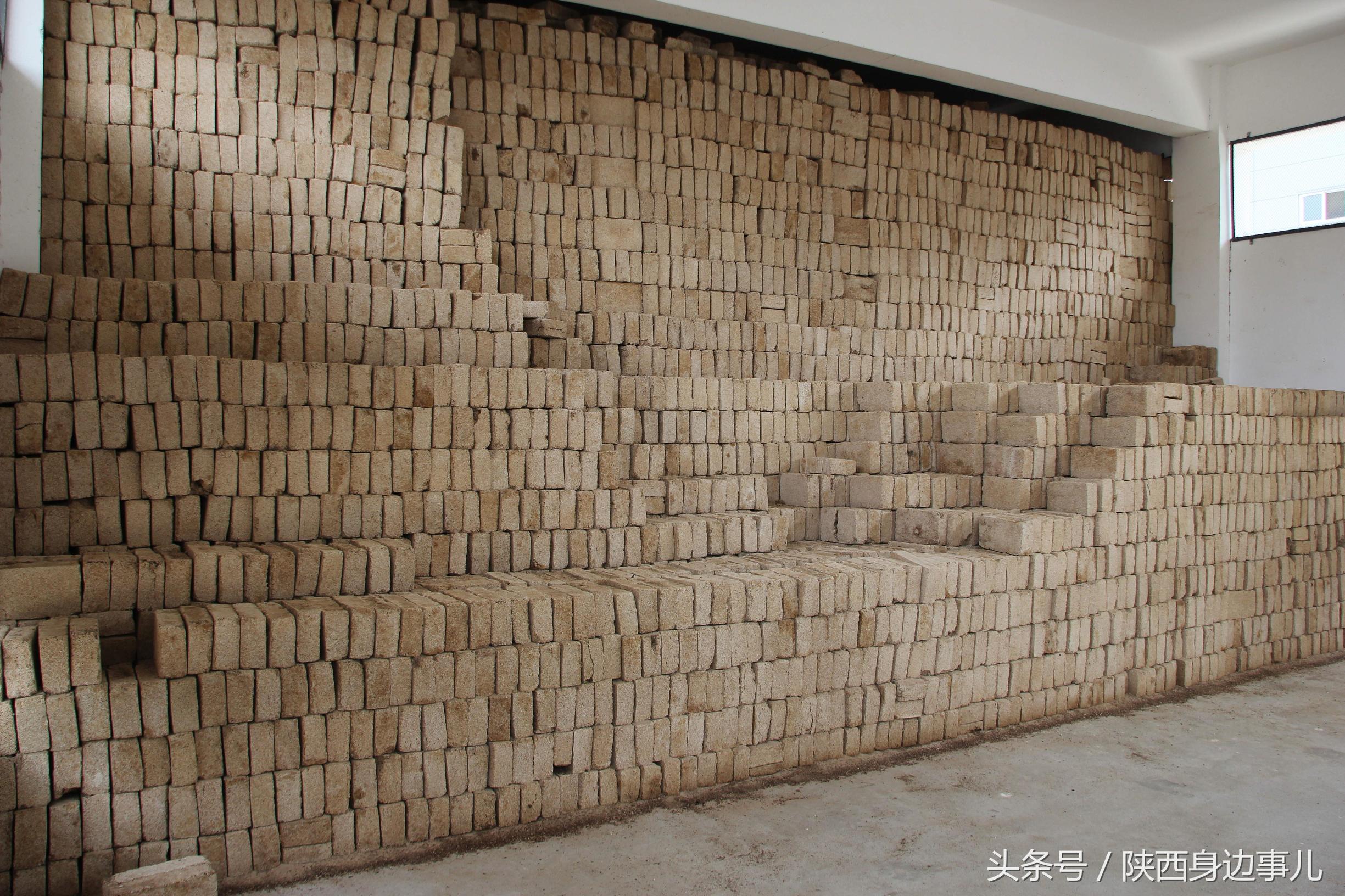 洋县秦洋长生酒业谢村黄酒,洋县秦洋长生酒业抖音号