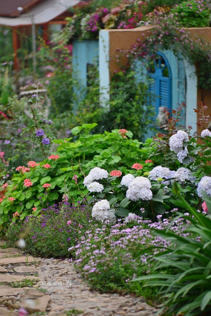 成都玛莉亚色彩花园,成都玛莉亚色彩花园电话