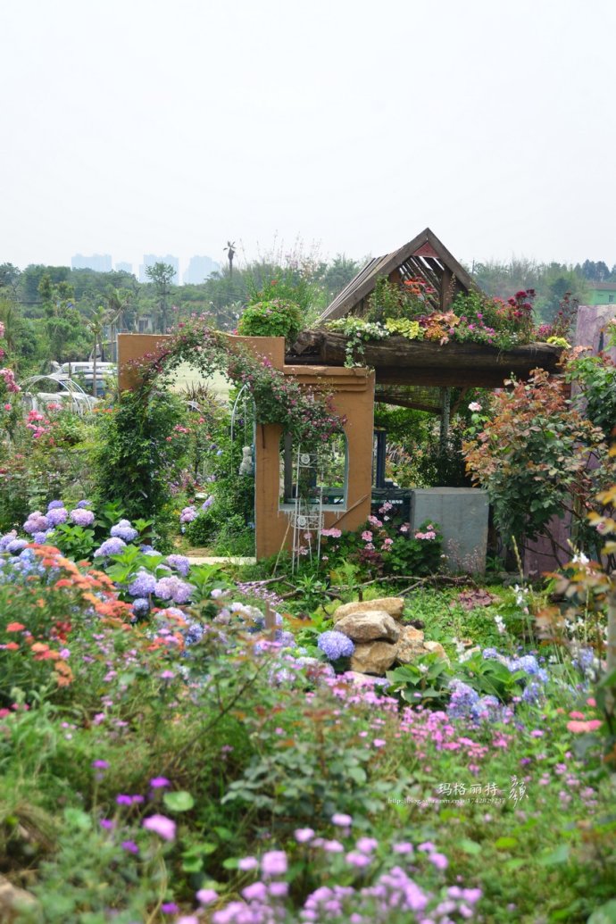 成都玛莉亚色彩花园,成都玛莉亚色彩花园电话