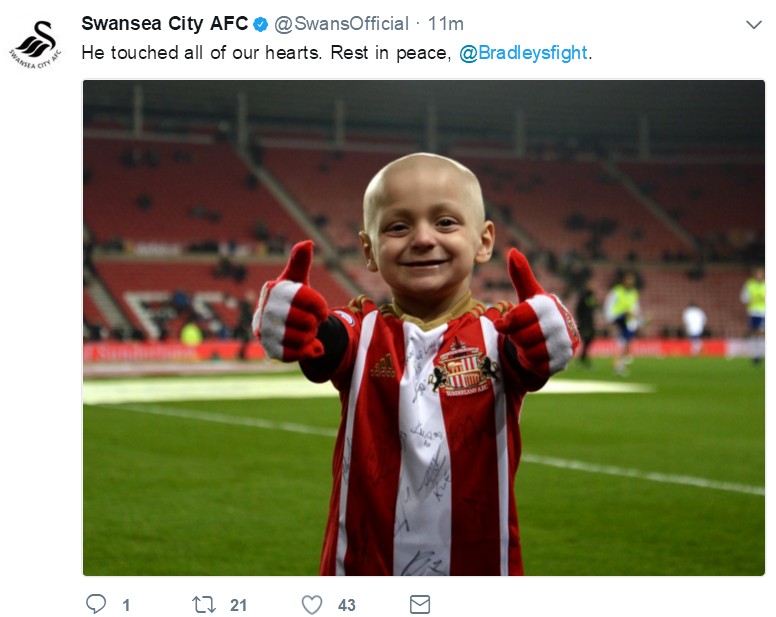 小布拉德利视频,小布拉德利