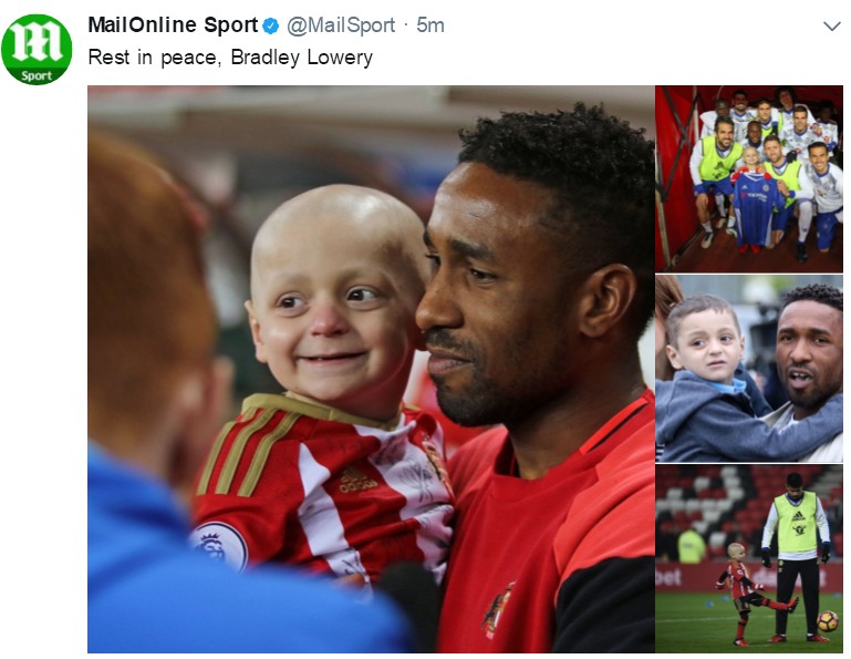 小布拉德利最后的话,小布拉德利视频