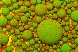 研究发现癌变前的衰老肝细胞,研究细胞凋亡对防治癌症的意义