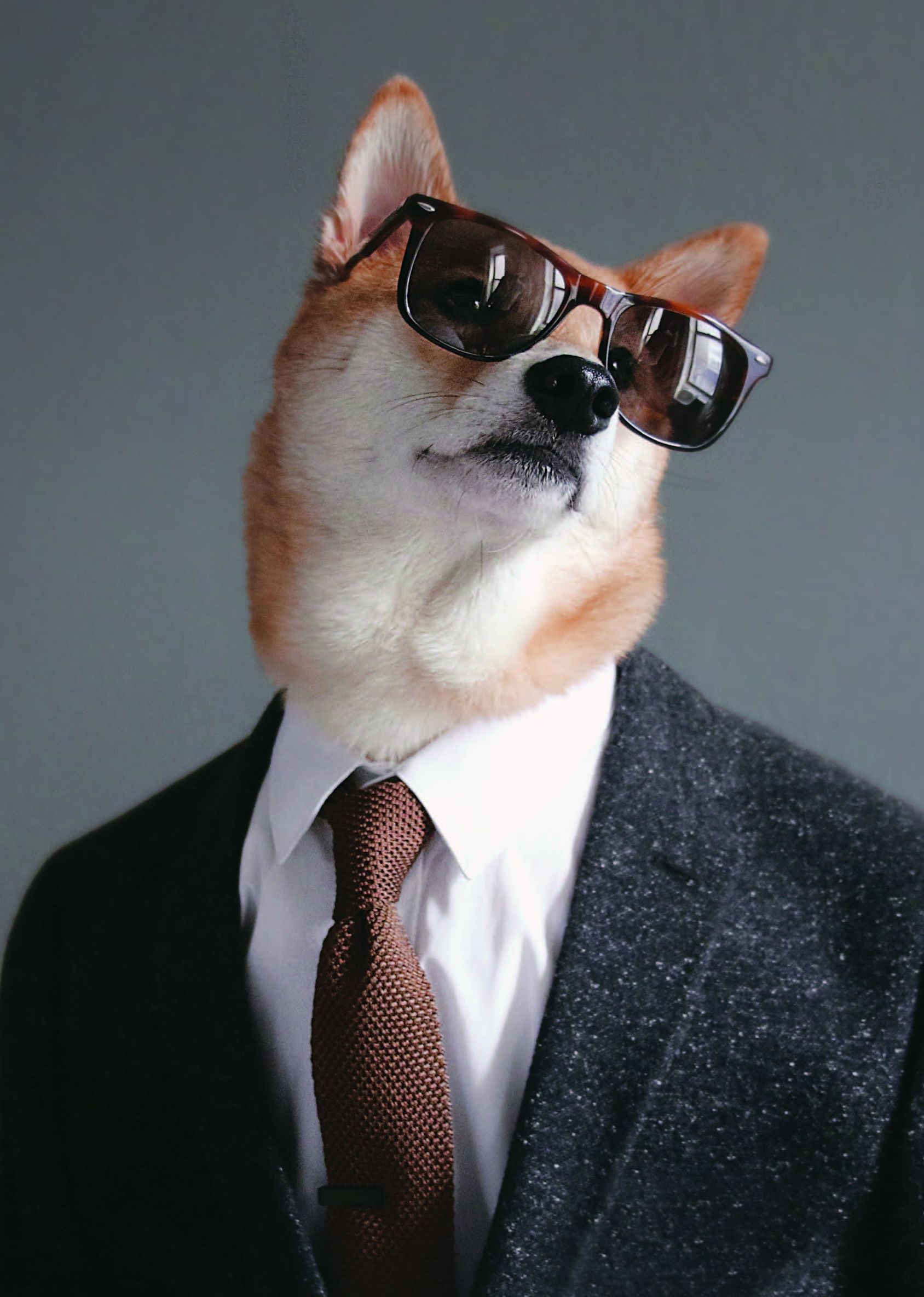 男春季穿搭技巧,春季男士穿搭禁欲奶狗风