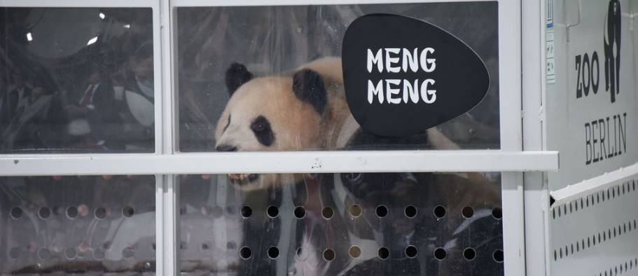 习*平近**三年后再访德丨为了一个更加美好的世界！