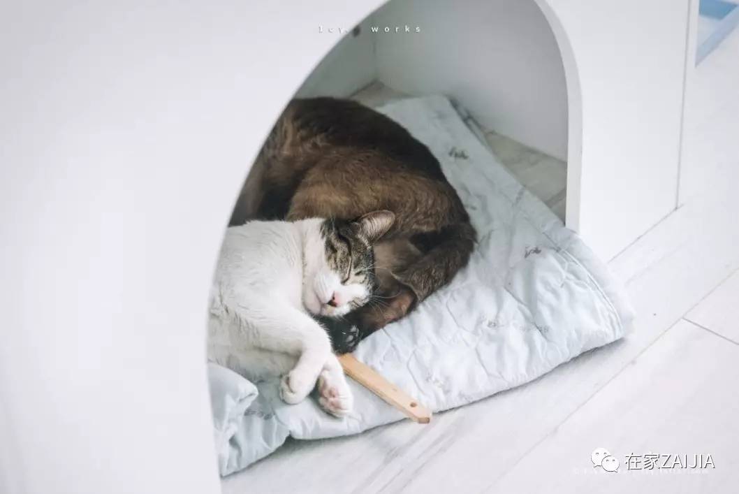 柔和舒适的房屋,小巧温馨舒适的房子