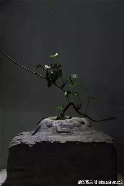 大莲花座折法,多层莲花座折法