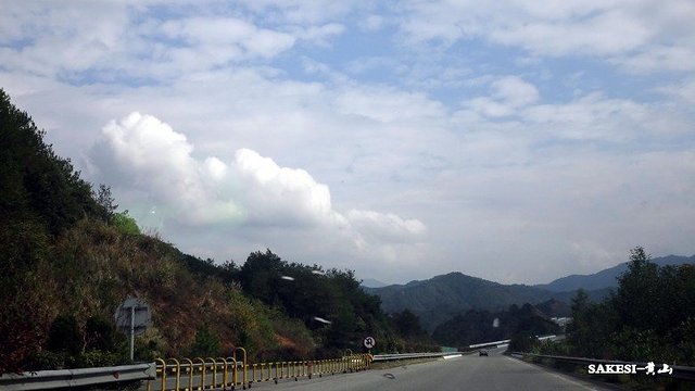 金毛萨克斯,金毛挑战全部视频