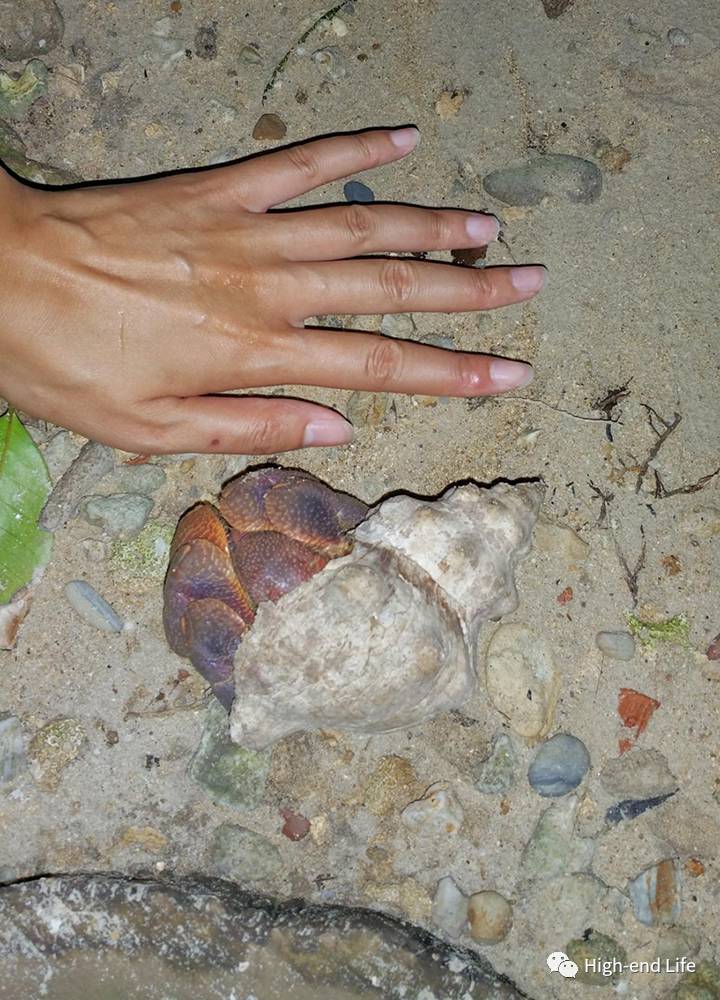 老炮旅行记北京,小白去泰国潜水攻略