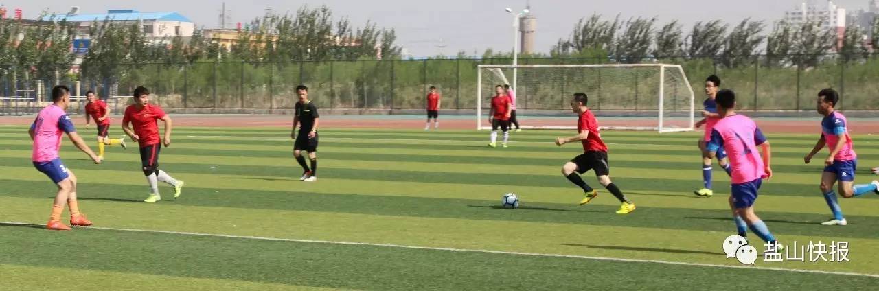 鑫龙体育比赛视频,盐山卫健杯职工篮球赛