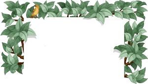 徐医附院骨科视频,徐医康复专业