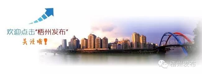 广西梧州藤县袁崇焕,广西梧州袁崇焕