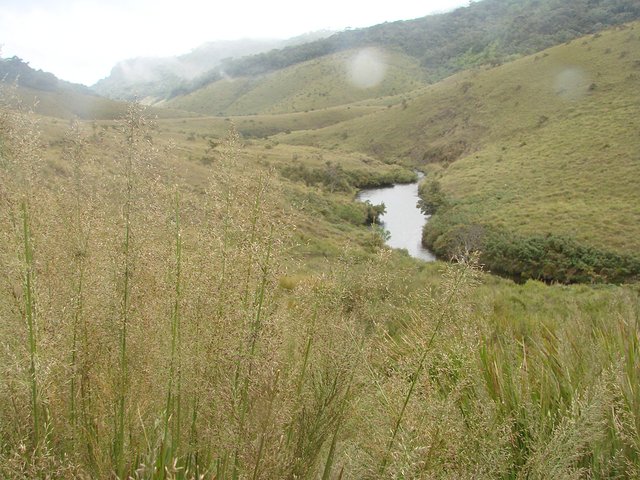 在斯里兰卡旅游必做的10件事,在斯里兰卡的难忘旅行经历