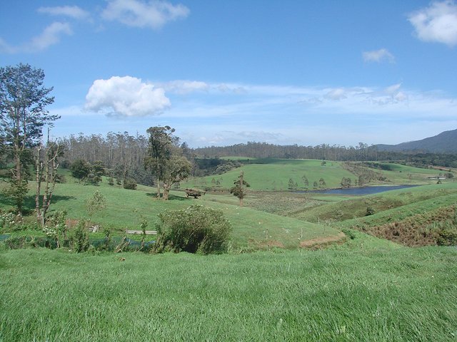 在斯里兰卡旅游必做的10件事,在斯里兰卡的难忘旅行经历