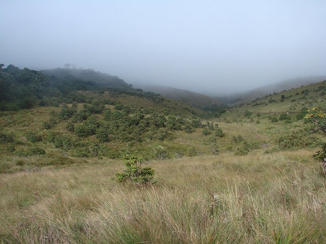 在斯里兰卡旅游必做的10件事,在斯里兰卡的难忘旅行经历