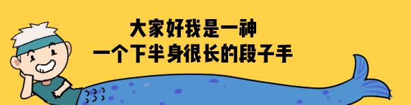 女生月经杯使用方法,女性月经杯怎样使用