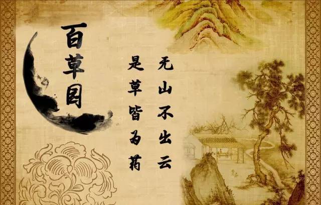 「百草园」那些“悬壶济世”的植物(十六)穿心莲